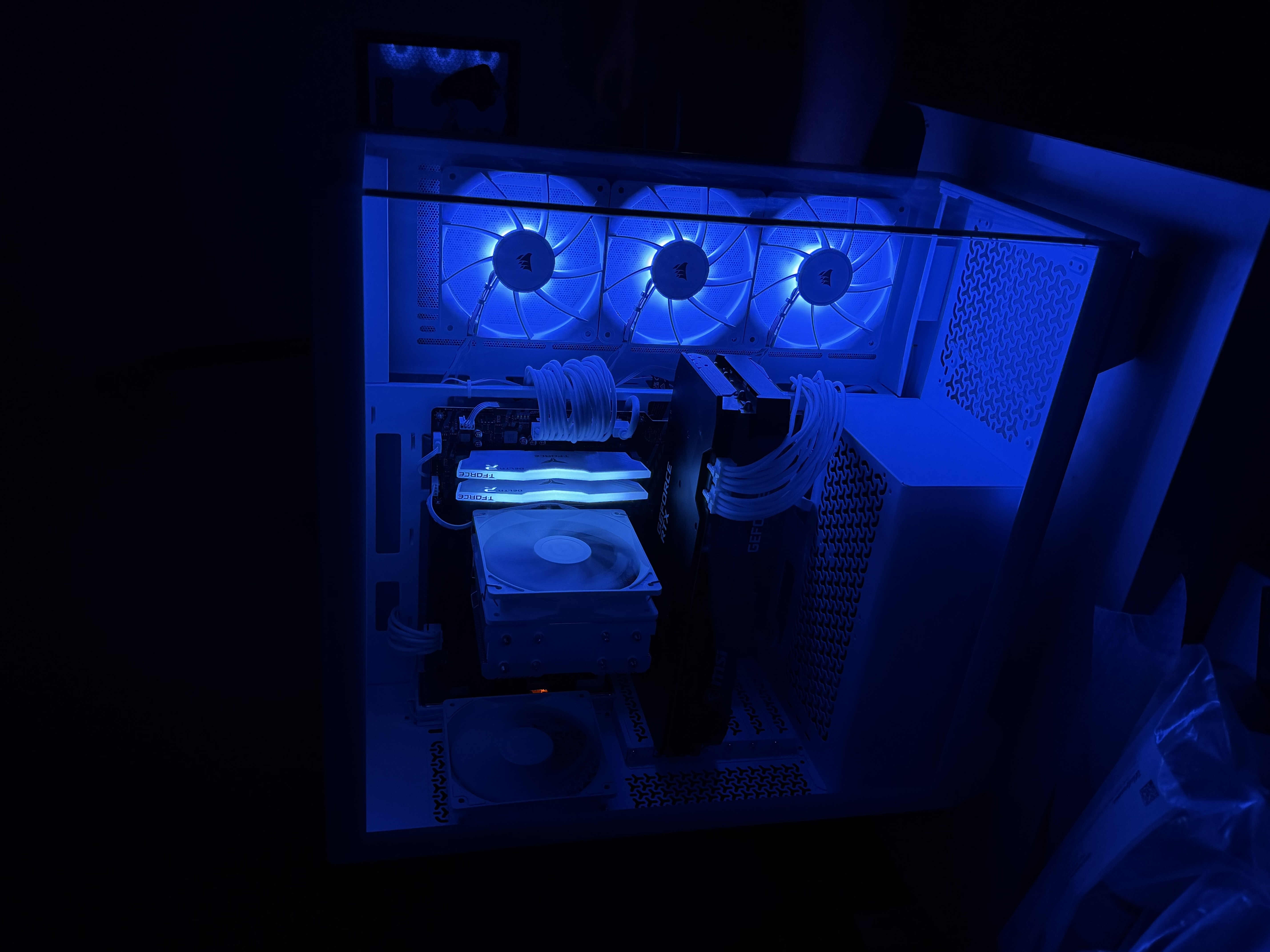 Adam L.'s build